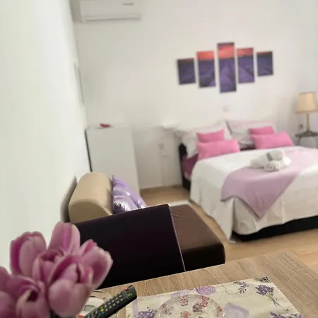 Apartment Ivana Bibinje
