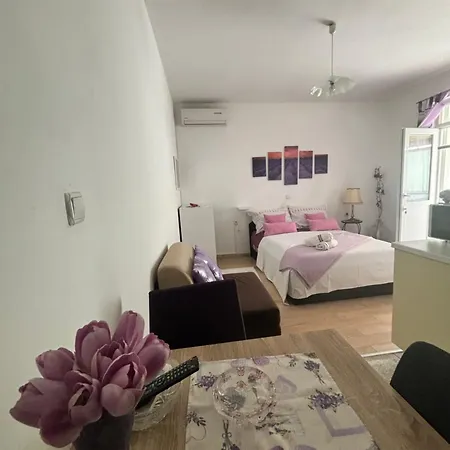 Apartment Ivana *