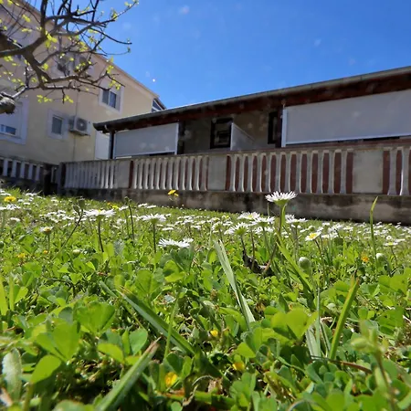 Apartment Ivana