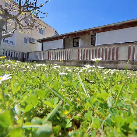 Apartment Ivana Bibinje