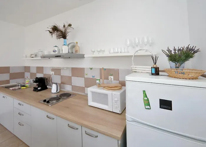 Ivana Appartement Bibinje